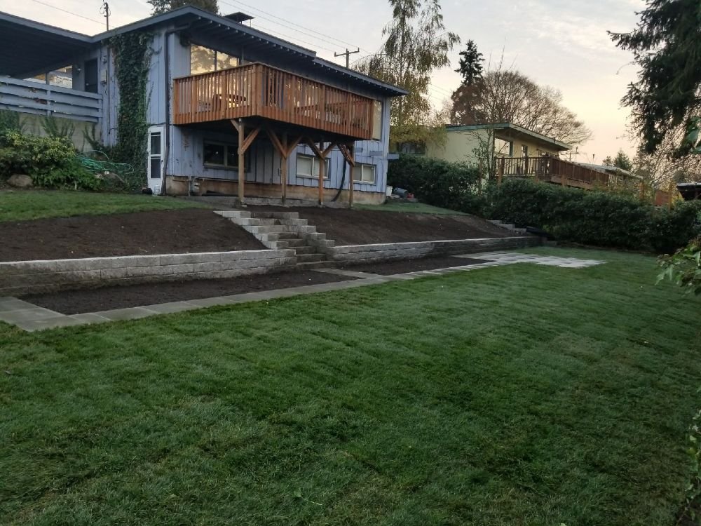 Tips for Blackberry and Vine Removal in Seattle, Washington - Seattle ...