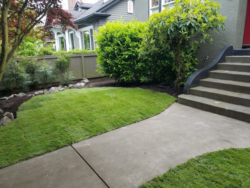 Mercer Island, WA Yard CleanUp, Hardscaping, and Lawn Care by Lee’s