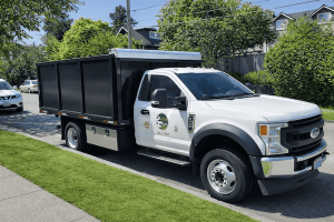 From Jungle to Oasis: Laura’s Experience with Lee’s General Landscaping in Seattle